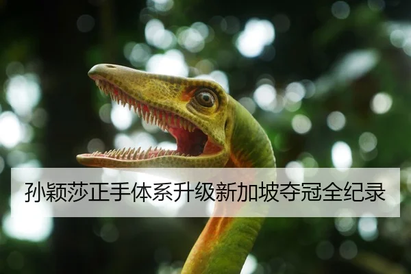 孙颖莎正手体系升级新加坡夺冠全纪录
